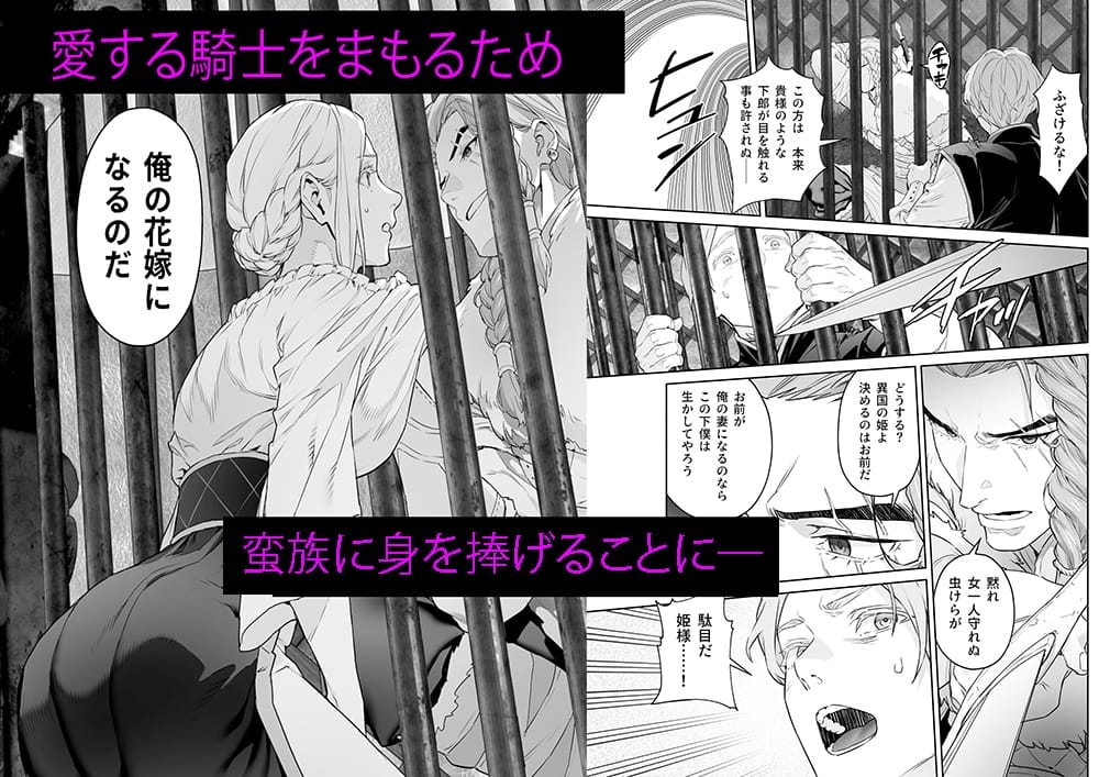 『蛮族の花嫁~堕ちた姫君~』2枚目